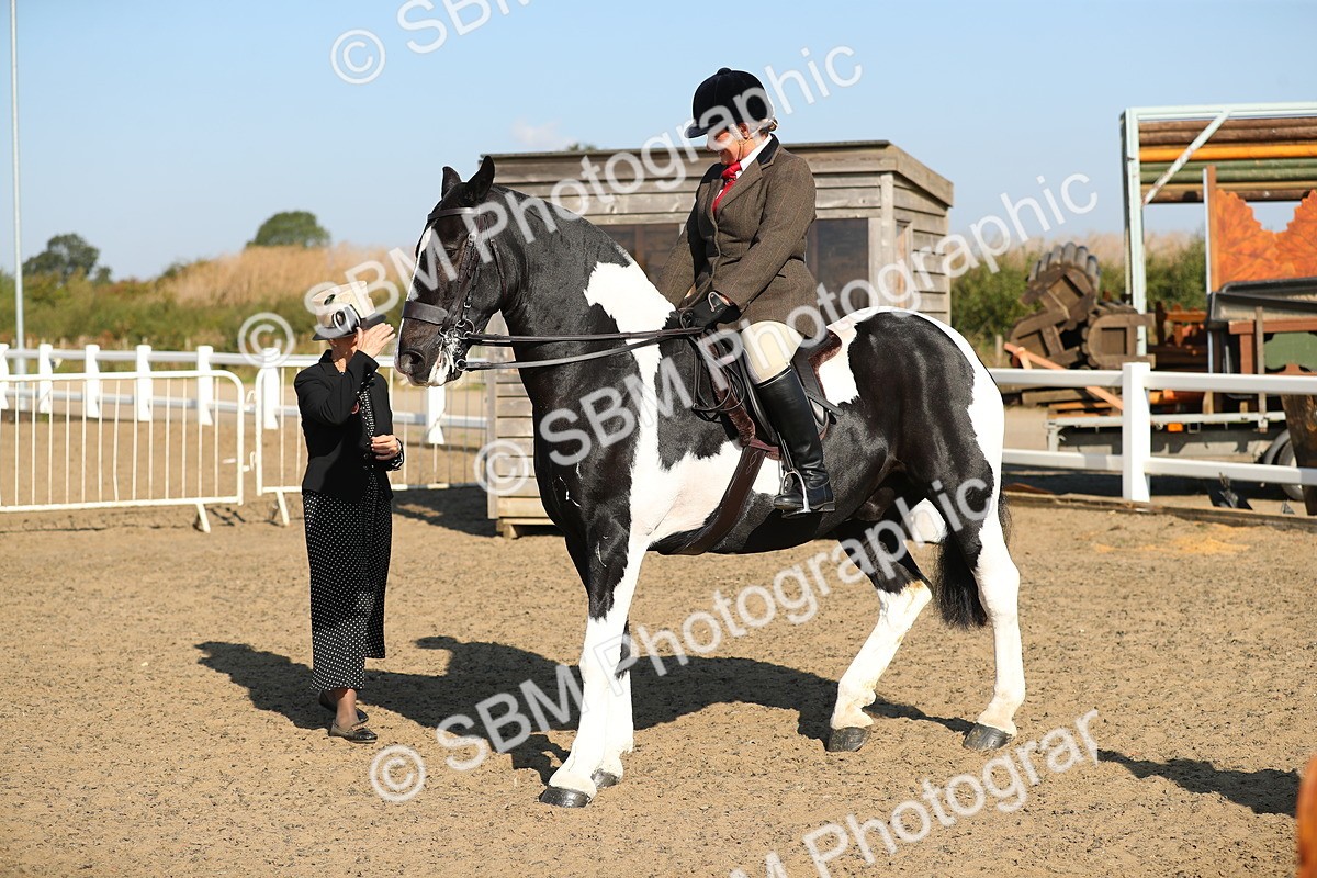 SBM_01178 - Class 42 Ridden Veteran