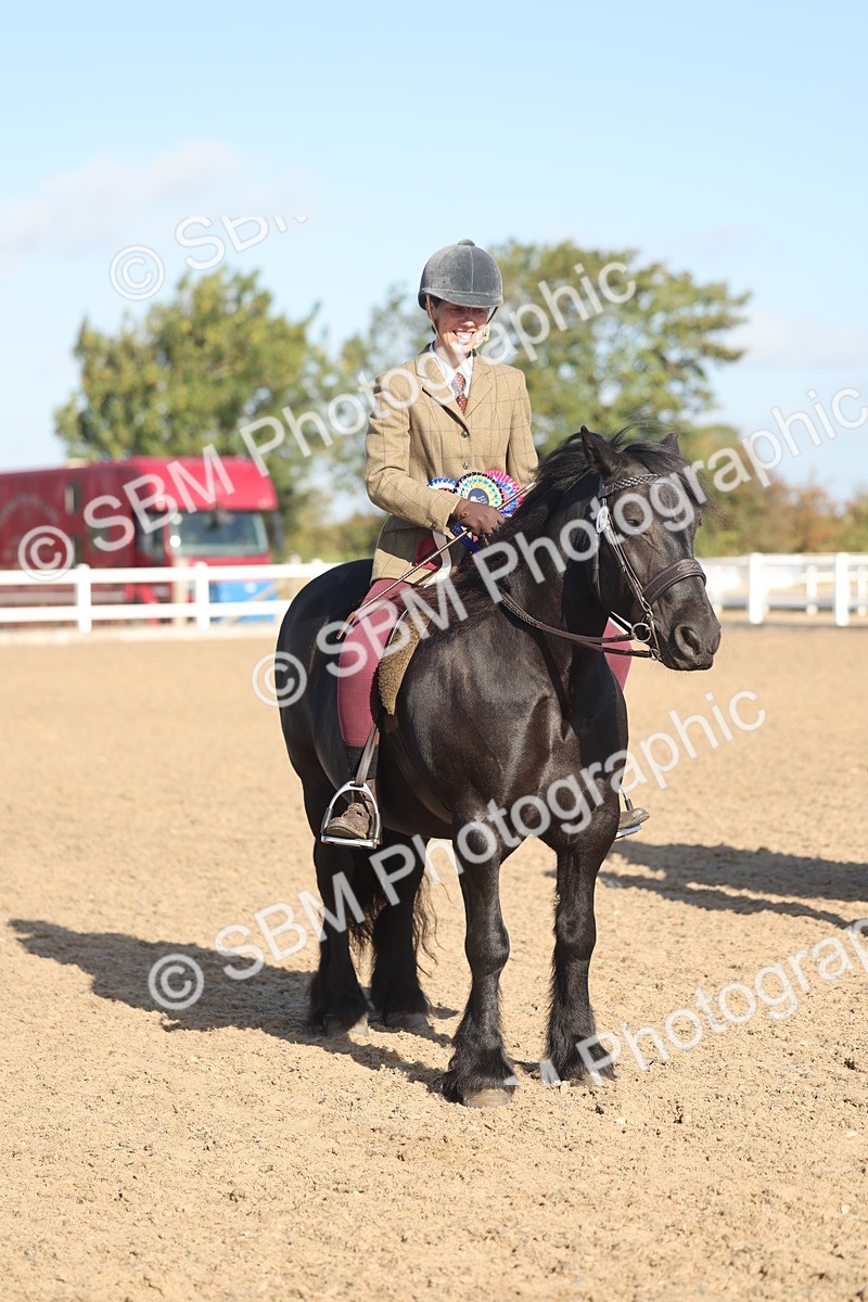 SBM_22243 - Class 802 - Ridden Groom Helpers Class
