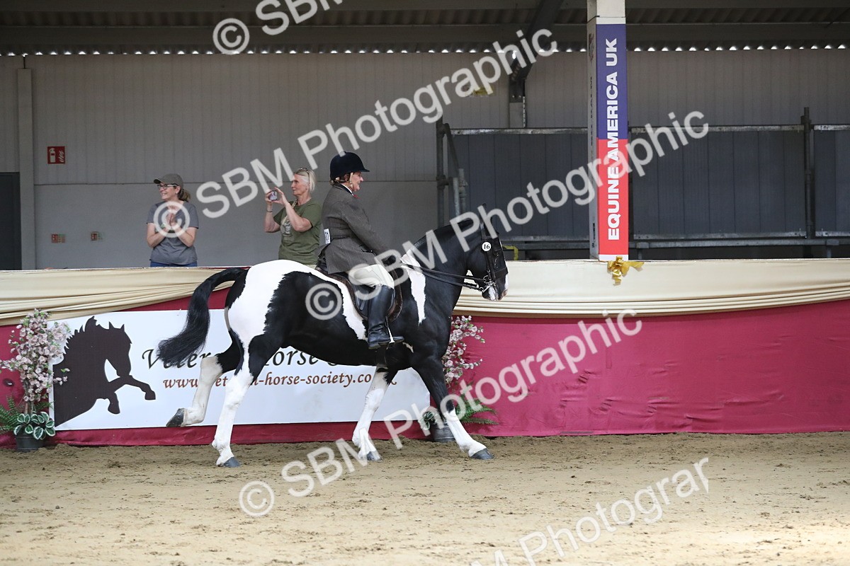 SBM_02999 - Class 6a Area Ridden Pre Vet