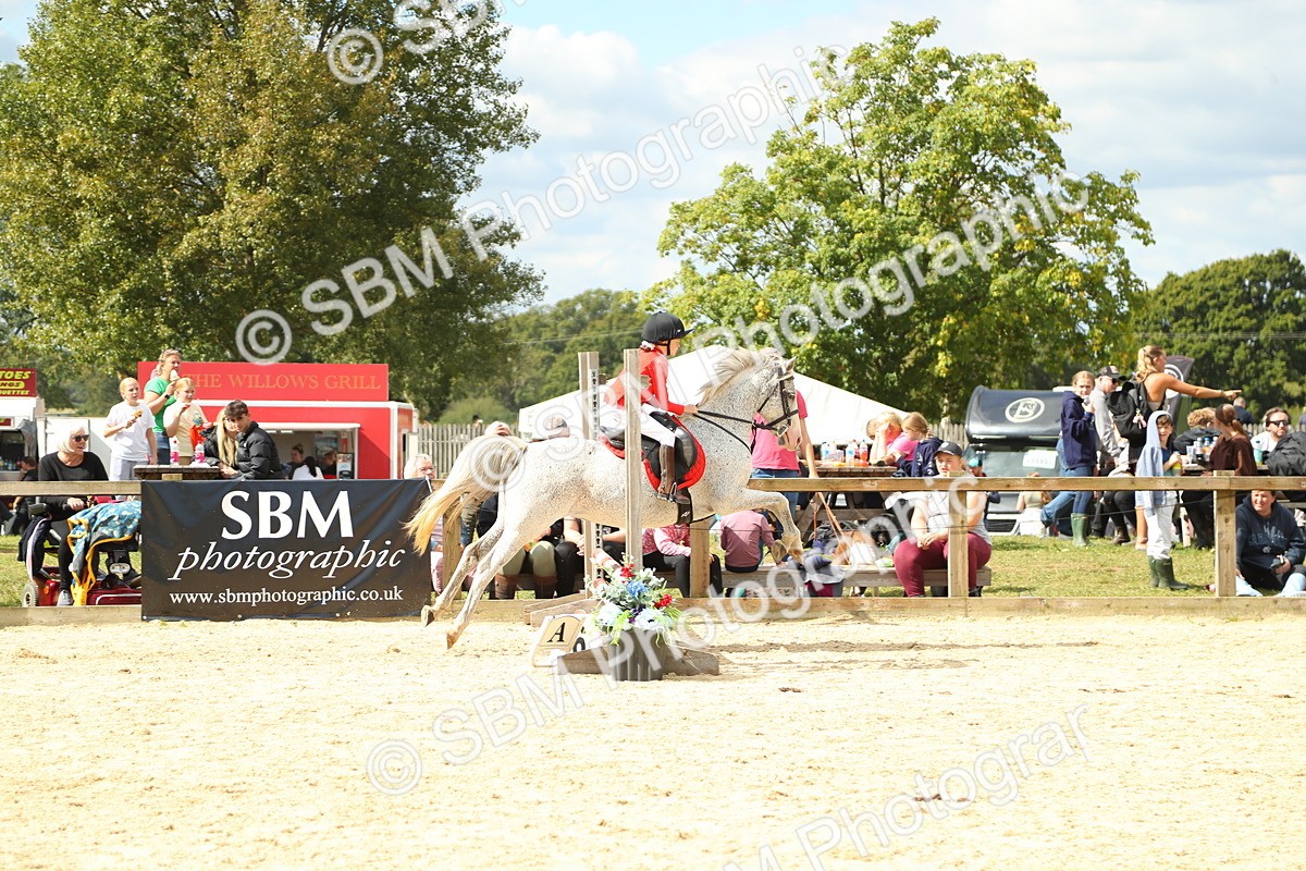 SBM_41354 - J6 - Junior Pony 55cm Championships
