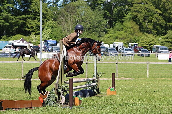 IMG_3750 - Working Hunter