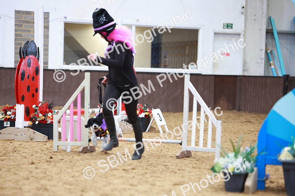 SBM_001571 - Class 3 - Horse & Hound (60cm)