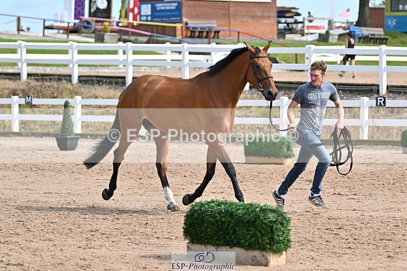 240717A-161440-03371 - Trot Up 4pm to 5pm