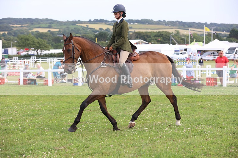 JPP_4480 - Class 26: Working Hunter 1m