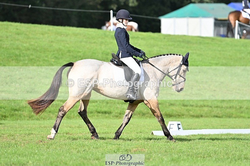 231020-141629-10860 - 664-TEMPLEMORE.WILD.ONE-Bella.Stevens-DR