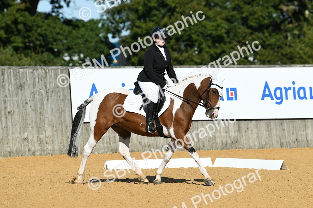 SBM_17908 - D4 - Small Tour Championship - Intro B