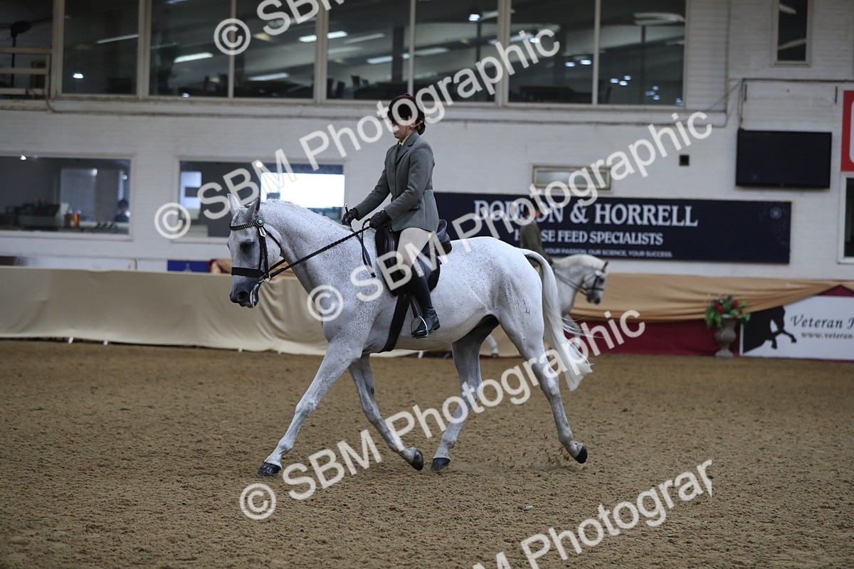 SBM_10413 - Class 102 Equitation (best rider) Adult