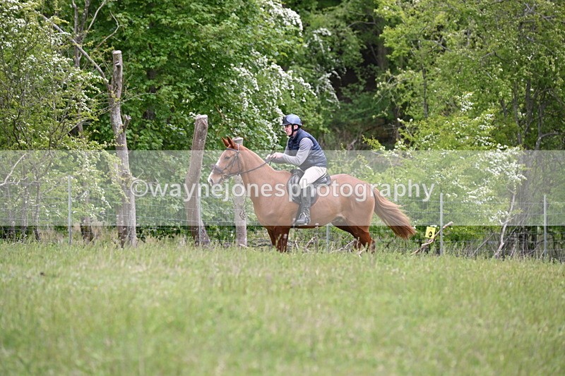WJ6_1596 - Group 5 A&B Cameras