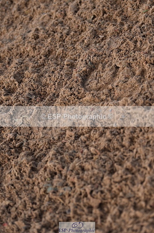 231028A-110958-00715 - Cls 2 British Novice & 80cm Open