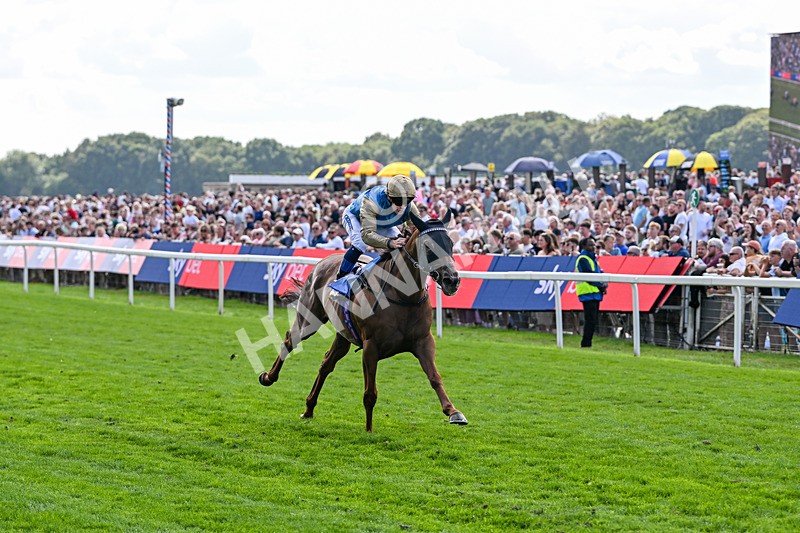 220826-Race 1-Archivist-9237 - Race 1 13.50pm Sky Bet Strensall Stakes