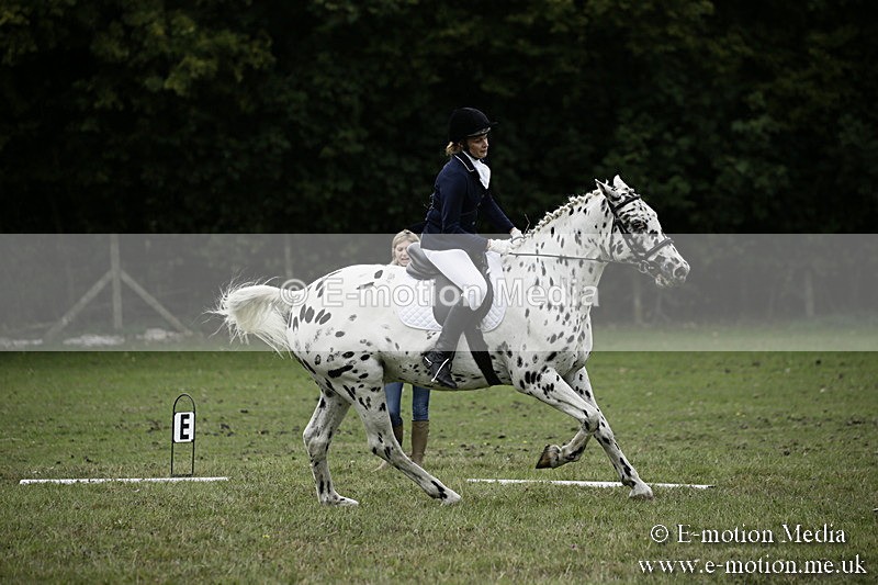 BVR080918 283 - BVRC Novice Dressage & CR 08/09/18
