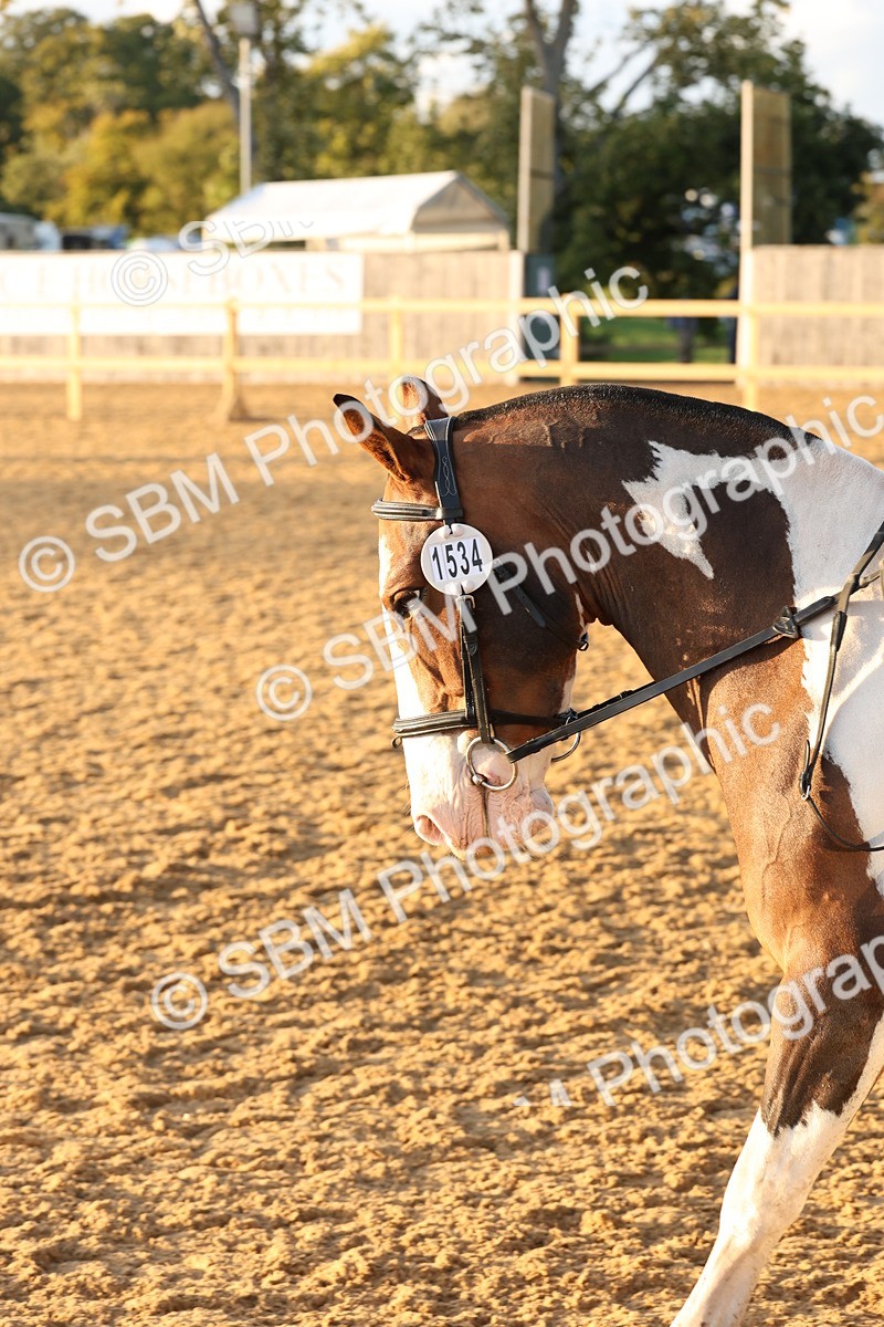 SBM_13593 - D9 - Small Tour Championship Prelim 3
