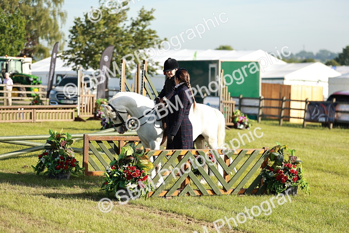 SBM_11099 - Class 106-107 - BSPS LIHS Working Sports Pony