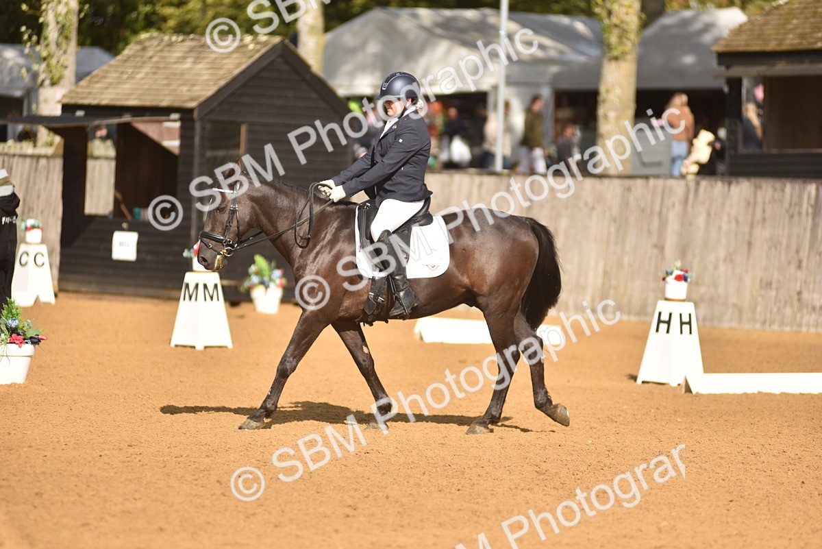 SBM_48888 - D22 - Junior Championship Intro 3