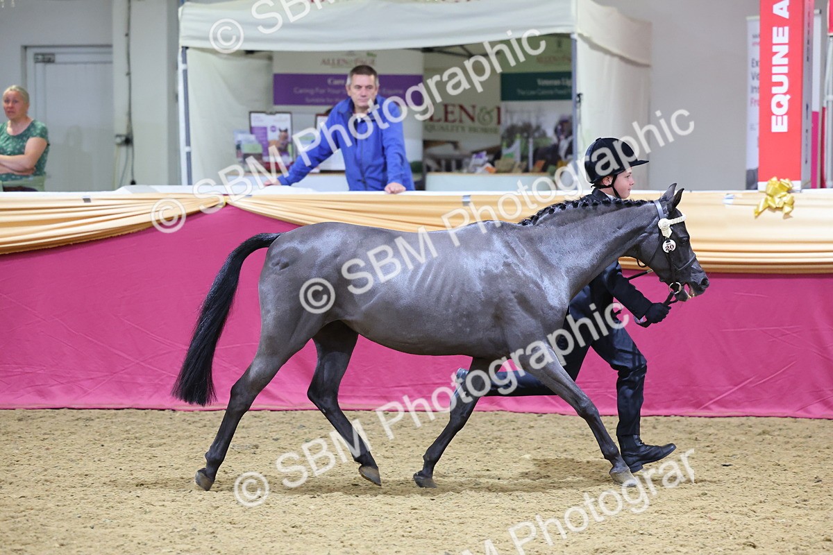 SBM_20824 - Class 902 - Supreme Final IH Veteran