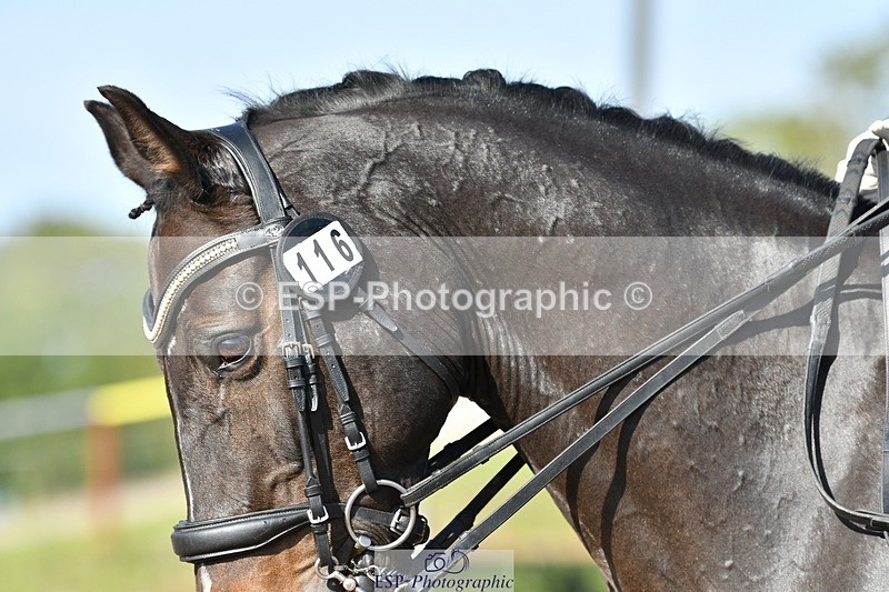 250906-160623-04578 - 116-Louise.CupittEnergiek.N