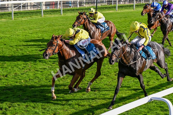 111025-Race 5-Morshdi-0555 - Race 5 Coral 'We're Here For It' EBF Maiden Stakes at York