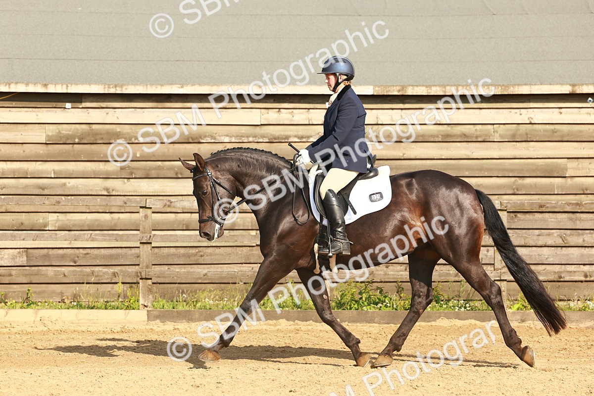 SBM_000344 - Class 5 - Novice 2