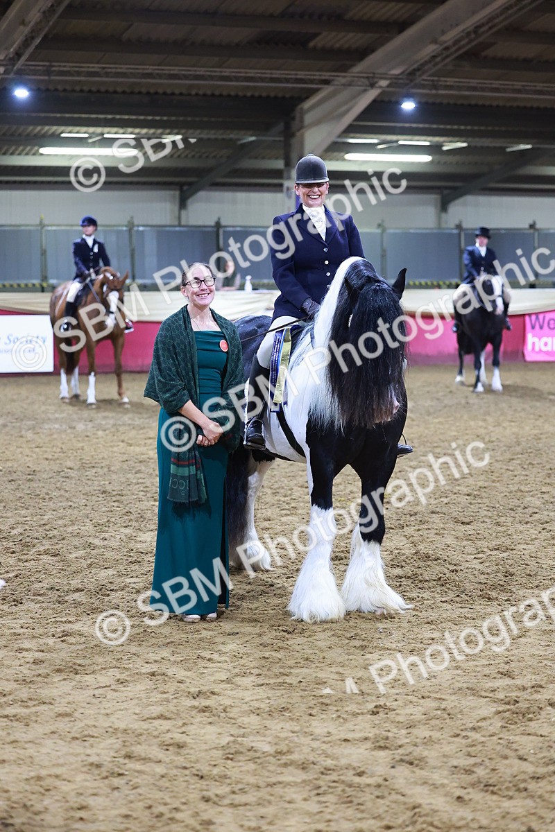 SBM_15442 - Class Q - Ridden Horse Champ