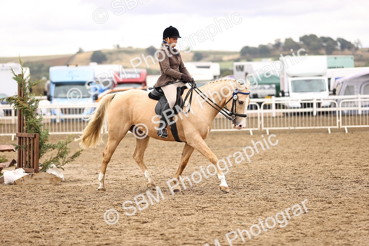 SBM_01410 - Class 54 - Riding Club Horse Pony
