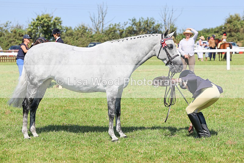 IMG_1955 - Class 33: Show Pony 148cm and under