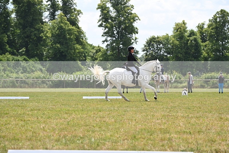 WJ6_7307 - Time 12:25 to 12:56