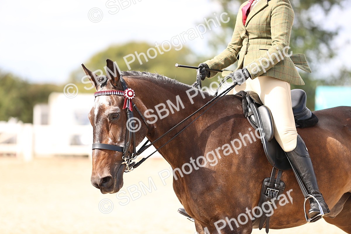 SBM_12934 - Class 410 - Grassroots Ridden - Horse