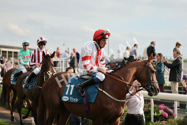 yr04092022r6-14 - Race 6 4.40pm Hanson Springs Stakes