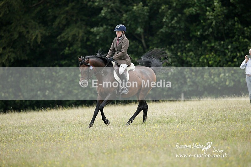 BVRC 030721 204 - Bourne Valley Riding Club Dressage 03/07/21
