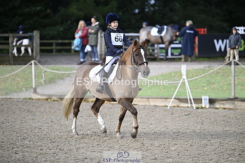 251005A-090129-02912 - Cls 02 GR 50cm