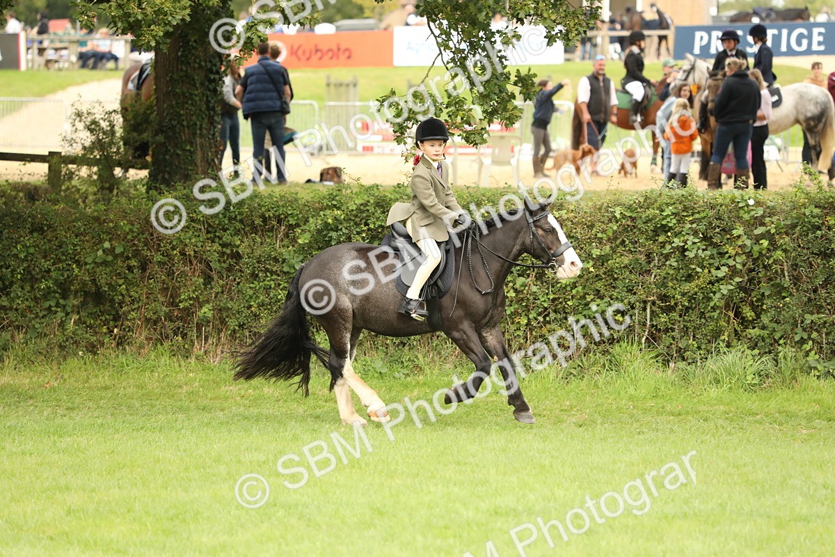 SBM_71597 - S41 - Ridden Equitation (Best Rider)