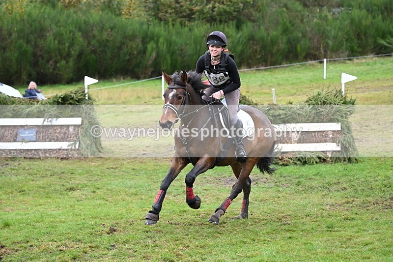 WJ6_3200 - 80cm Cam 1 Pairs Time 12:19 to 12:49