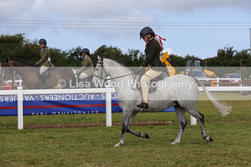 1X9A4031 - Class 32: Show Hunter Pony 153cm and under