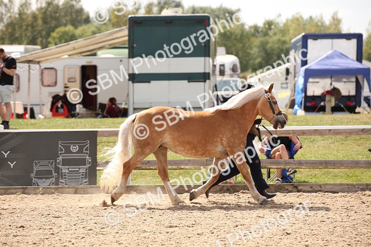 SBM_04565 - Class 20 IH Veteran