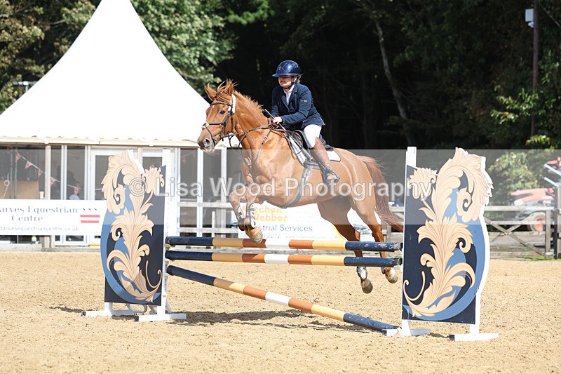 3E7A9360 - Class 9: Senior British Novice/90cm open