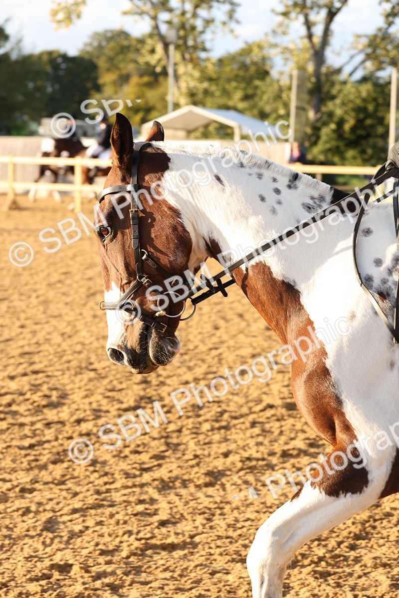 SBM_12805 - D9 - Small Tour Championship Prelim 3