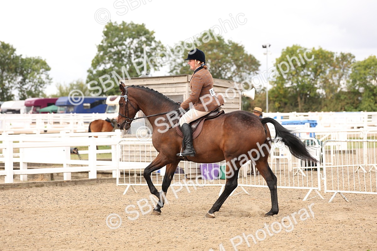 SBM_02863 - Class 53 - Ridden Competition Horse/Pony