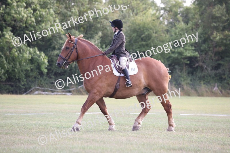 20250731-0564 - Class 1 - Intro 4