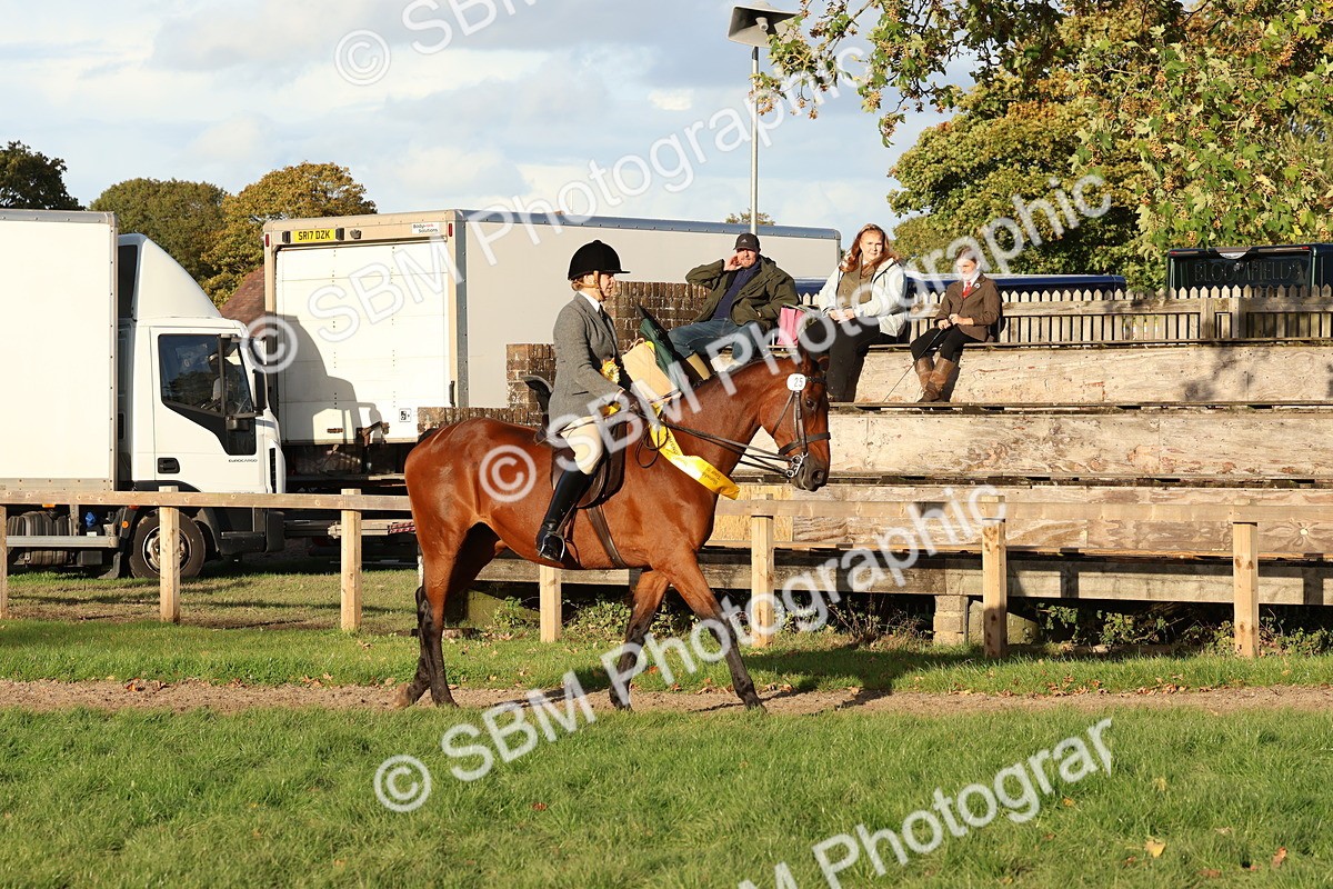 SBM_53107 - Veteran Supreme Championship
