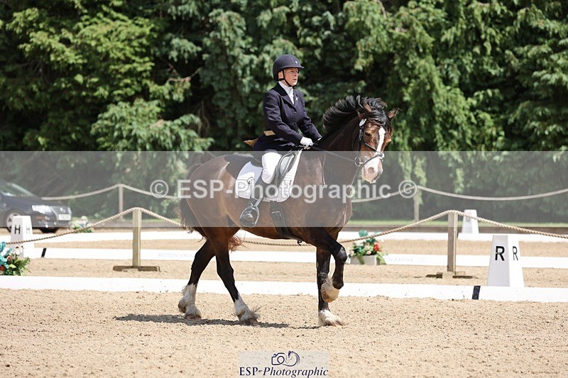 240721-133110-08826 - 176-Amanda_Williams-Llanarth_Westminster