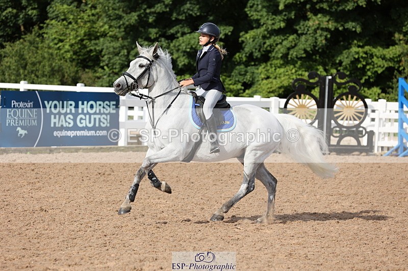 240629A-084122-02661 - Cls 16 British Novice and 80cm Open