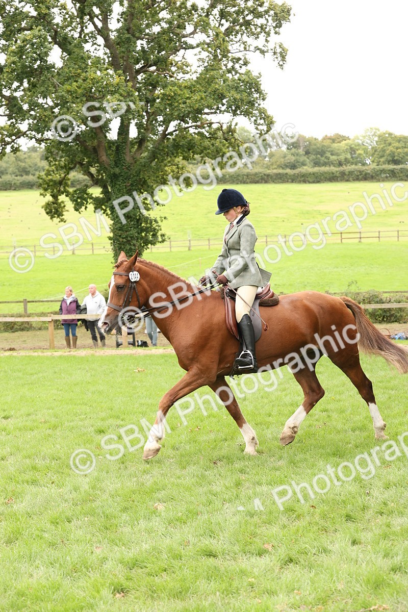 SBM_66323 - S66 - Hunter Ridden