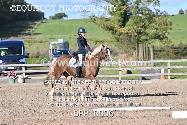 BPP_8836 - SHORT ARENA INTRO 2