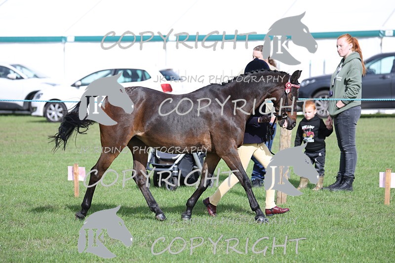 APP_2588 - Class 9 Veterans in hand