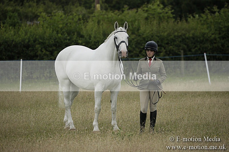 B230619-0282 - Bourne Valley Riding Club Summer Show 23/06/19