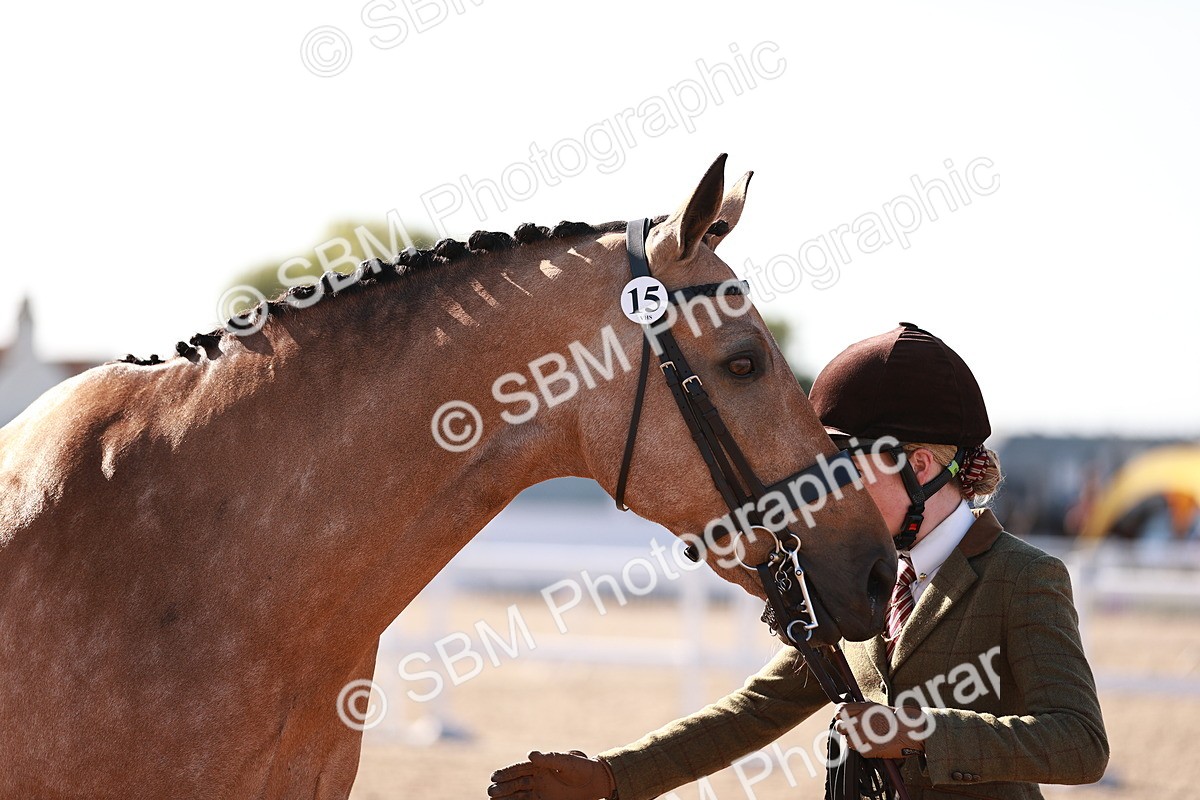 SBM_22067 - Class 703 - IH Coloured