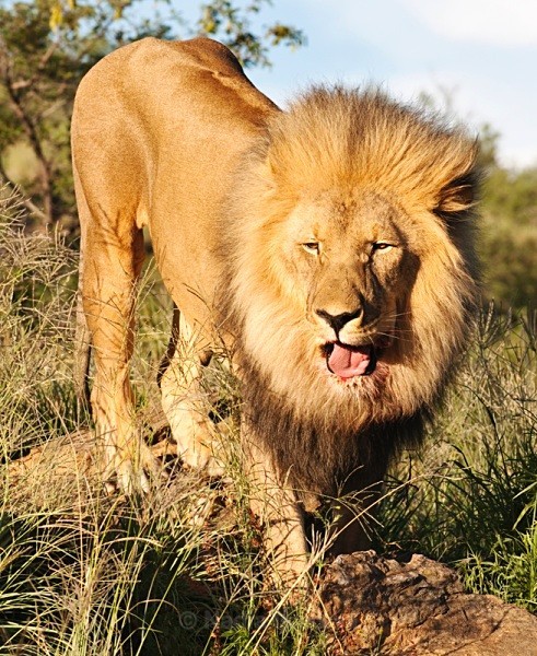  - Namibia