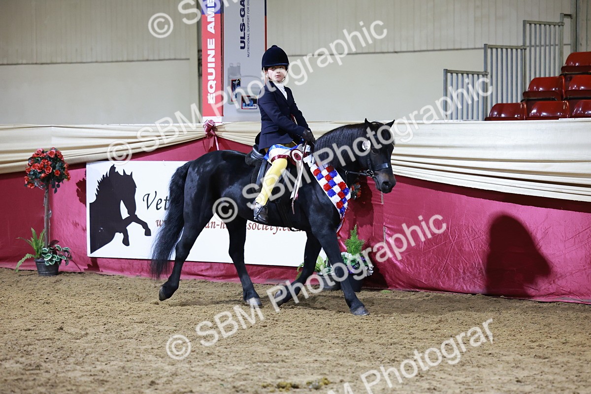 SBM_21393 - Class T - Working Veteran Champs