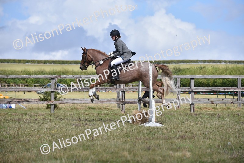 20250831-3996 - Class 12 - Working Hunter Pony 14.2hh and Under