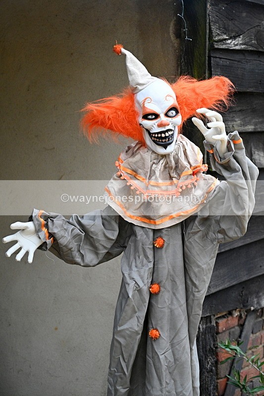 WJ7_5811 - Berks & Bucks - Children's Meet - The Old Farmhouse – Steventon.